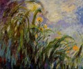 Gelbe Iris Claude Monet impressionistische Blumen
